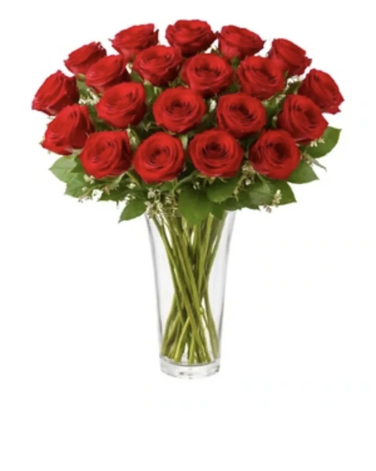 24 Roses in a Vase — MAYDE floral delivery on DoorDash