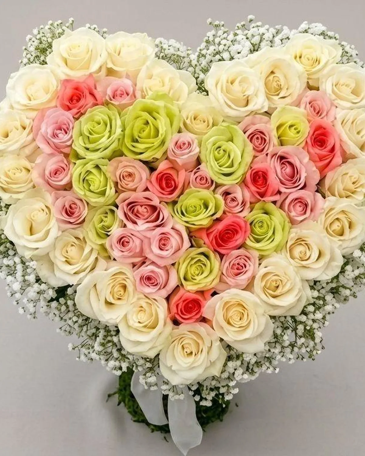 36 Premium Roses — MAYDE floral delivery on DoorDash