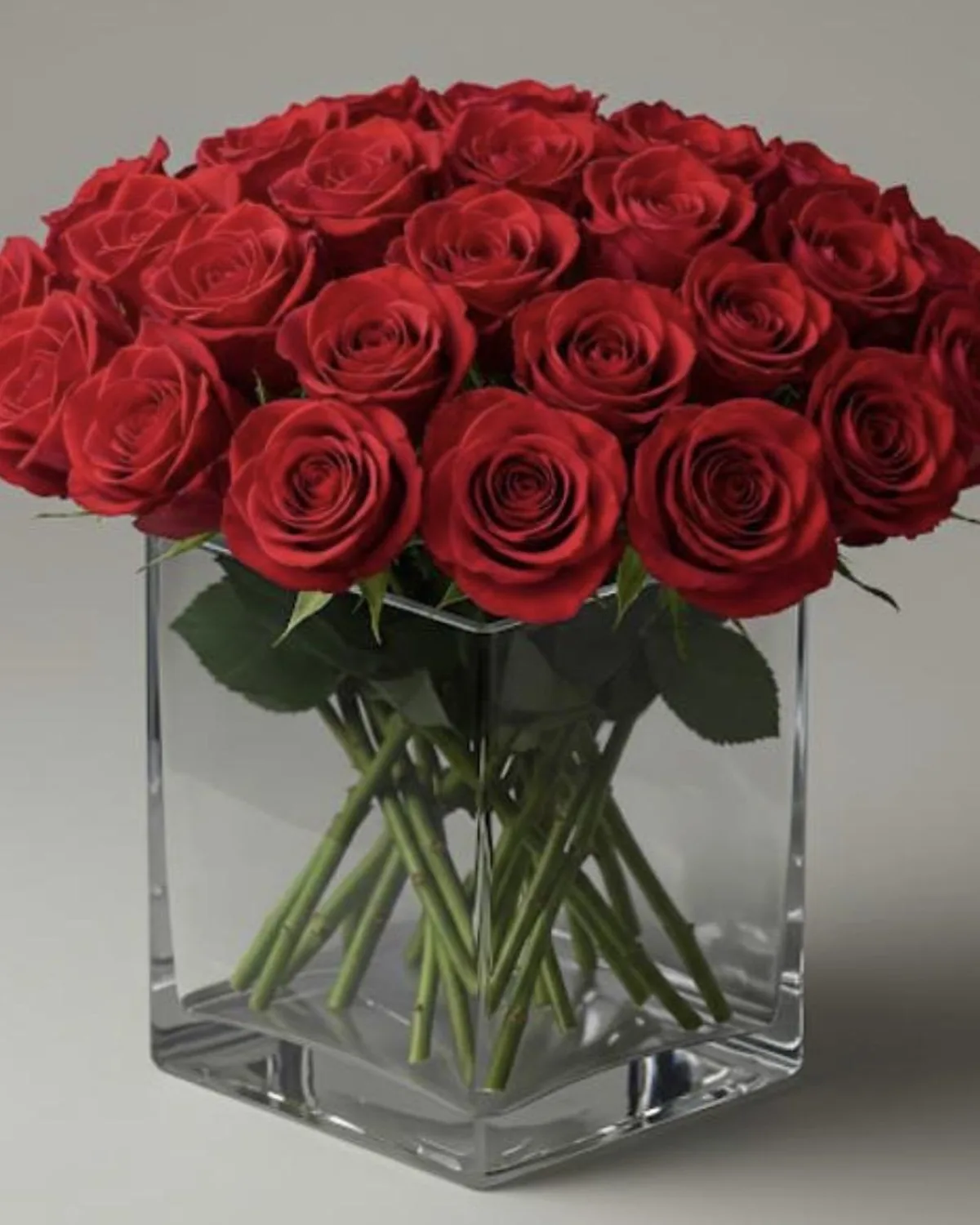 Classic Red Rose Vase Arrangement — MAYDE floral delivery on DoorDash