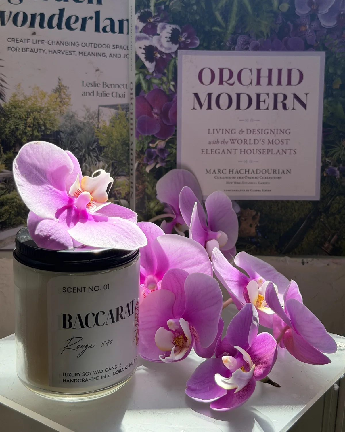 Scent No. 01 luxury soy candle with an orchid bloom at MAYDE Market