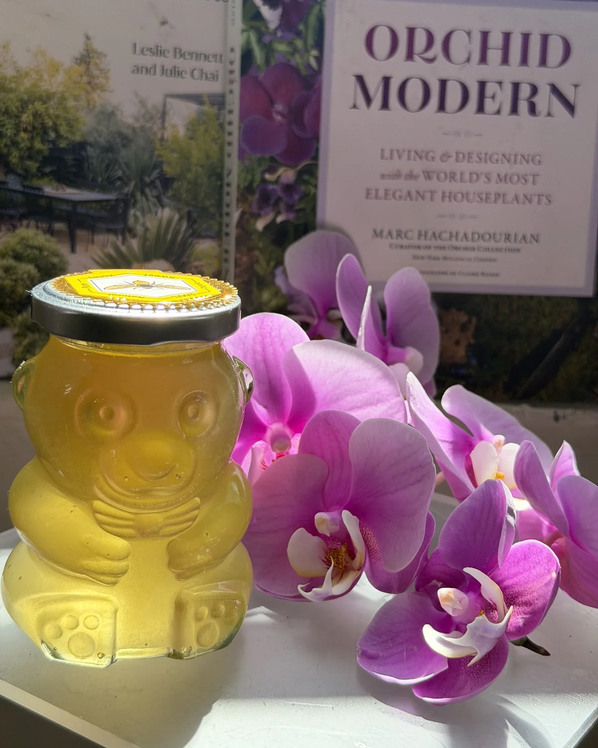 Local honey in a glass bear jar at MAYDE Market in Cameron Park