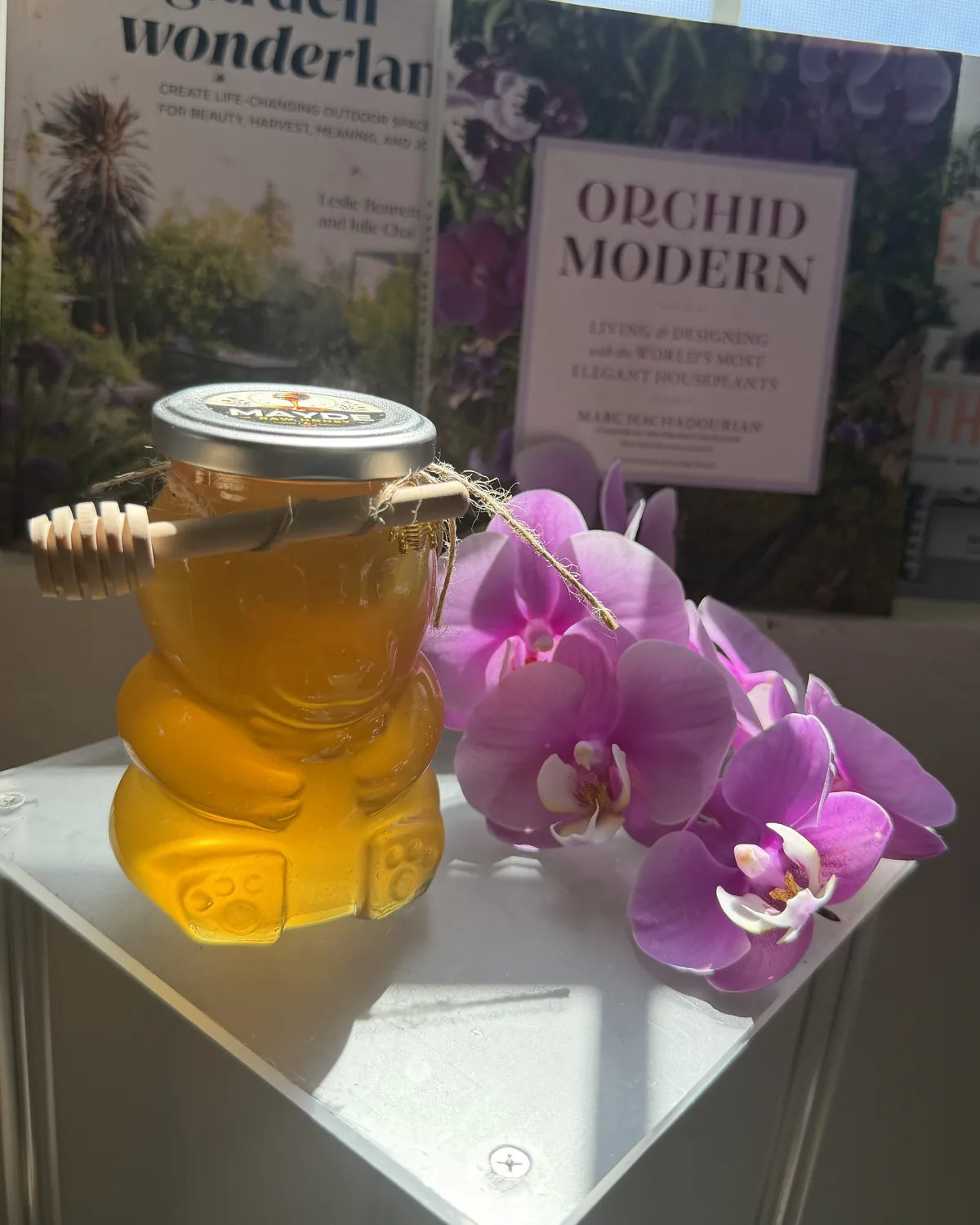 Honey & Dipper Set