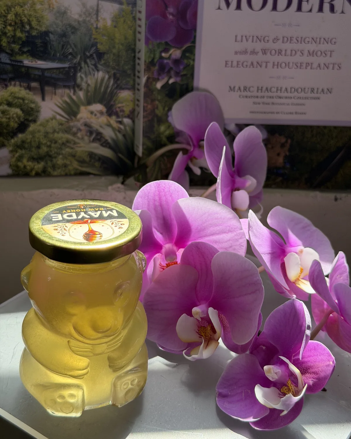 MAYDE Honey Bear