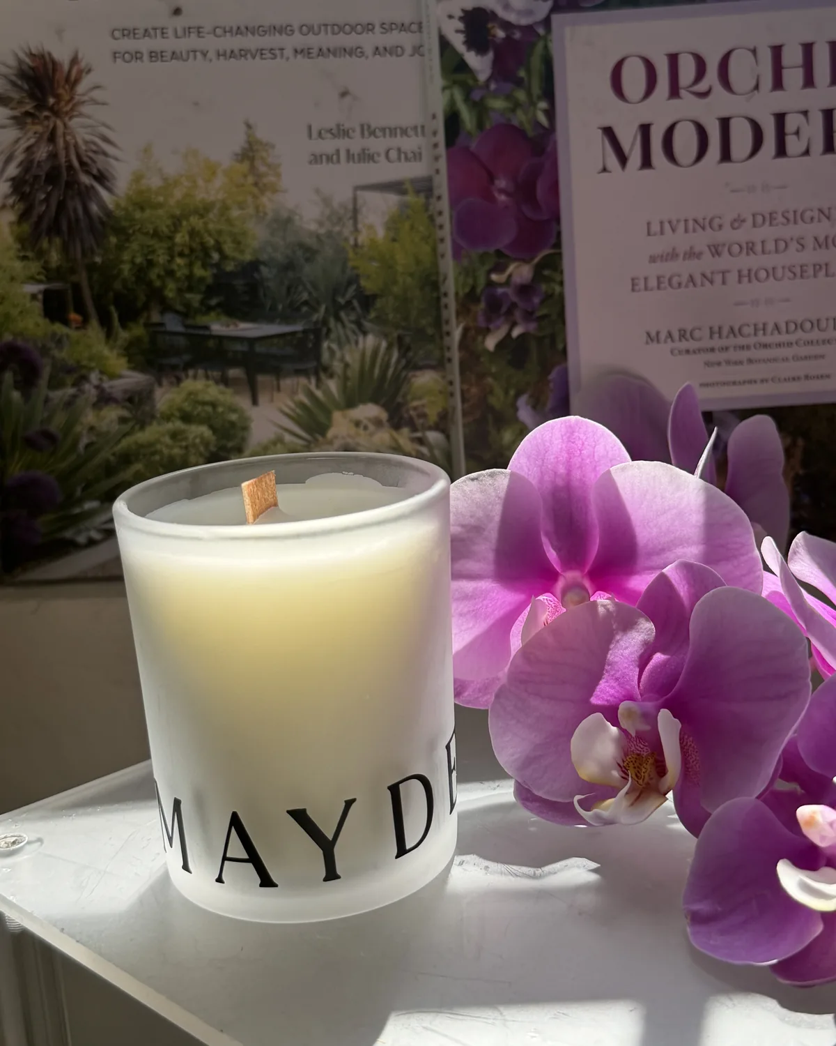 MAYDE Ivory Wood-Wick