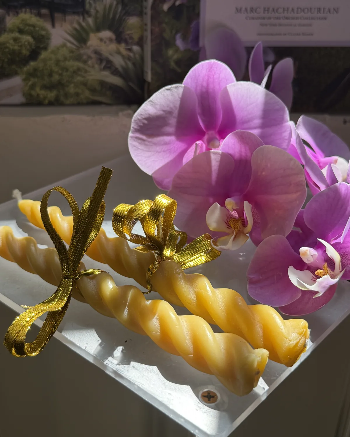 Hand-twisted beeswax taper candles tied with gold ribbon at Lil Mayde