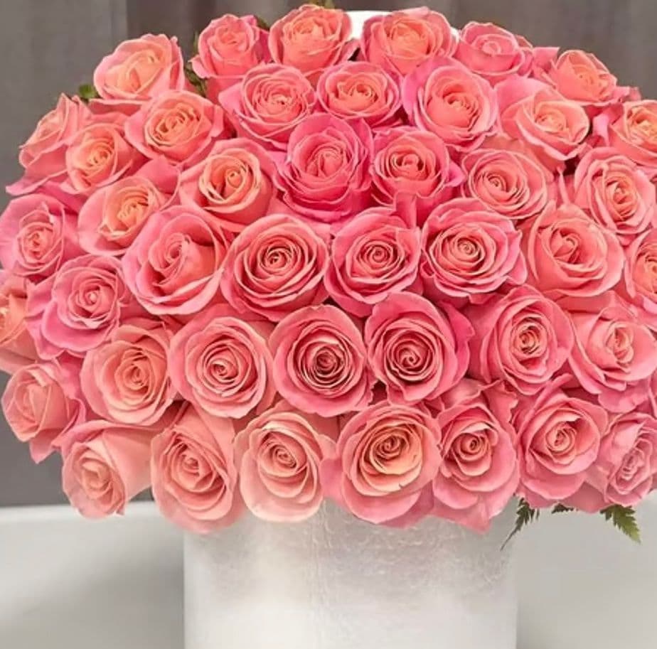The Blush Dome